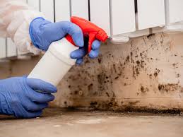 Best Asbestos and Lead Testing During Mold Inspection  in Malta, IL